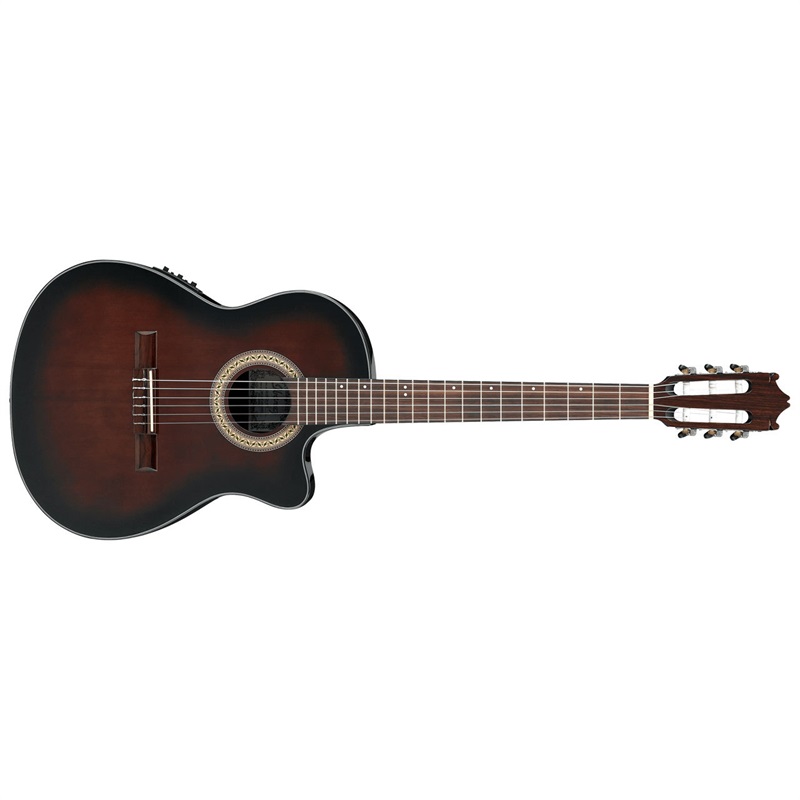 Ibanez GA30TCE DVSの画像
